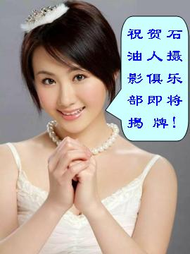 献给大家一个美女