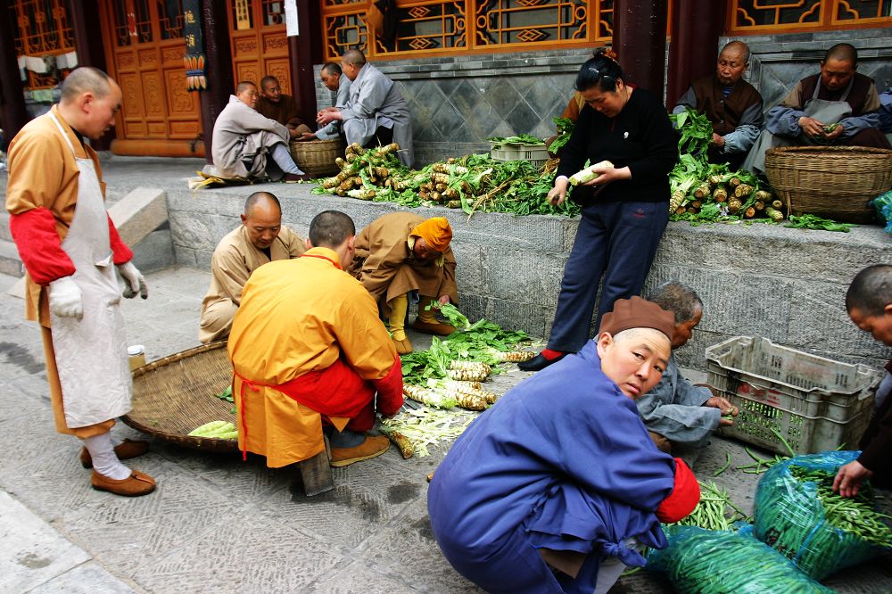 发一组在山西五台山拍的片片