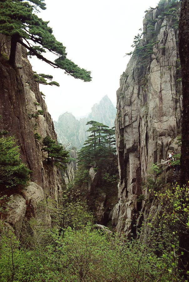 黄山风光