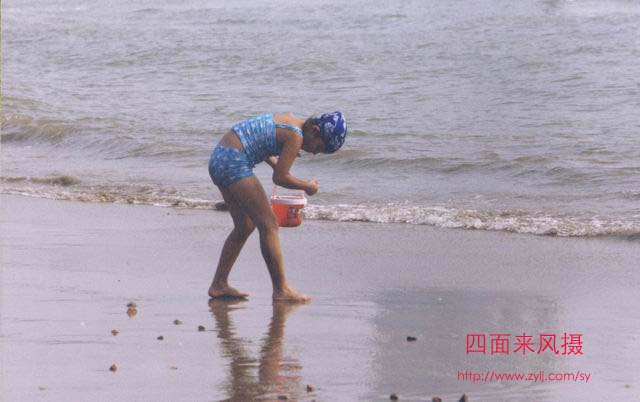 海趣