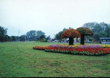 花景一组