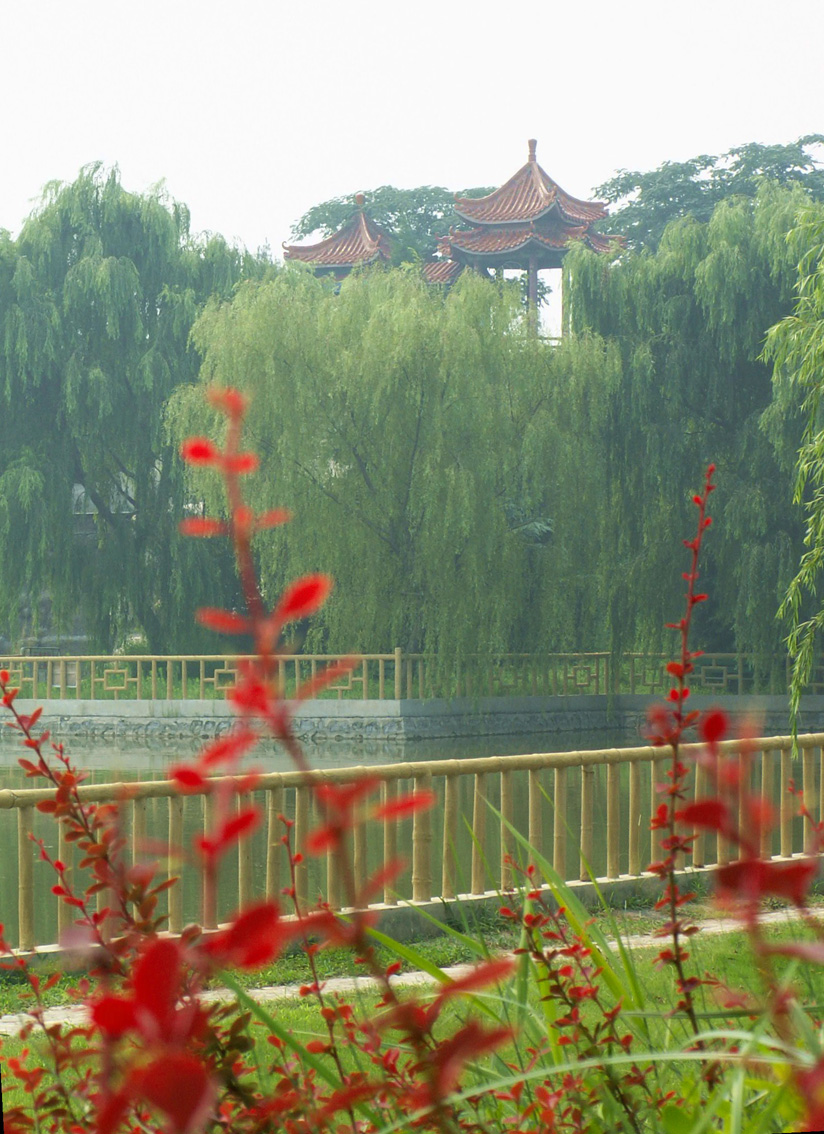 绿色庄园