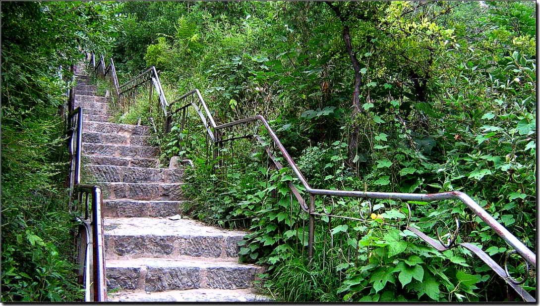 木桥.山 路