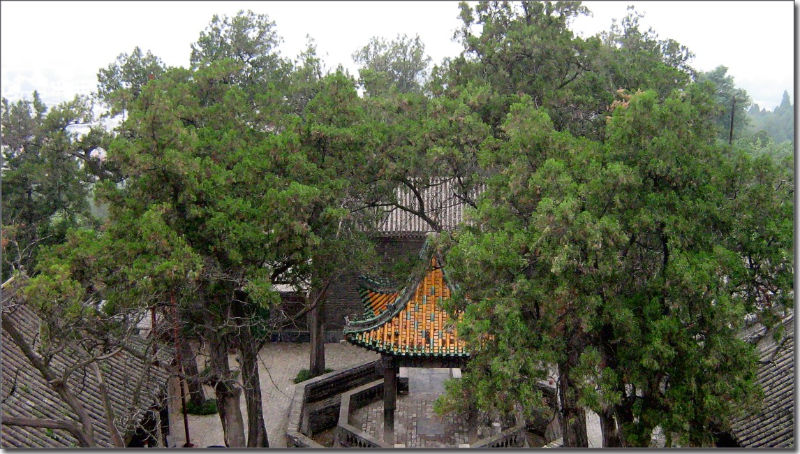 毛毛雨中的大仳山景色