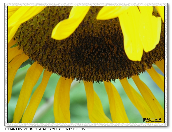 [原创]2006夏季记忆