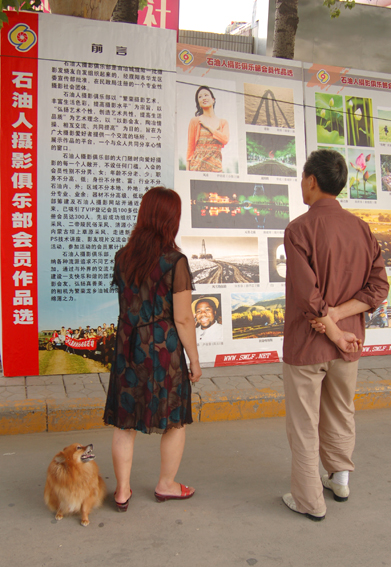 俱乐部展版颇受关注