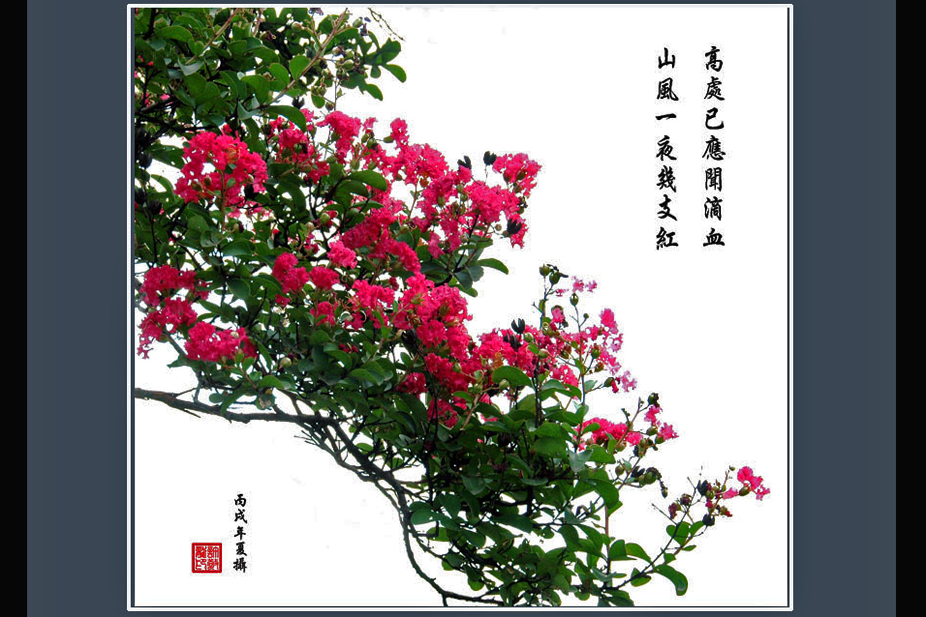 [推荐]影林好汉佳作－姿色