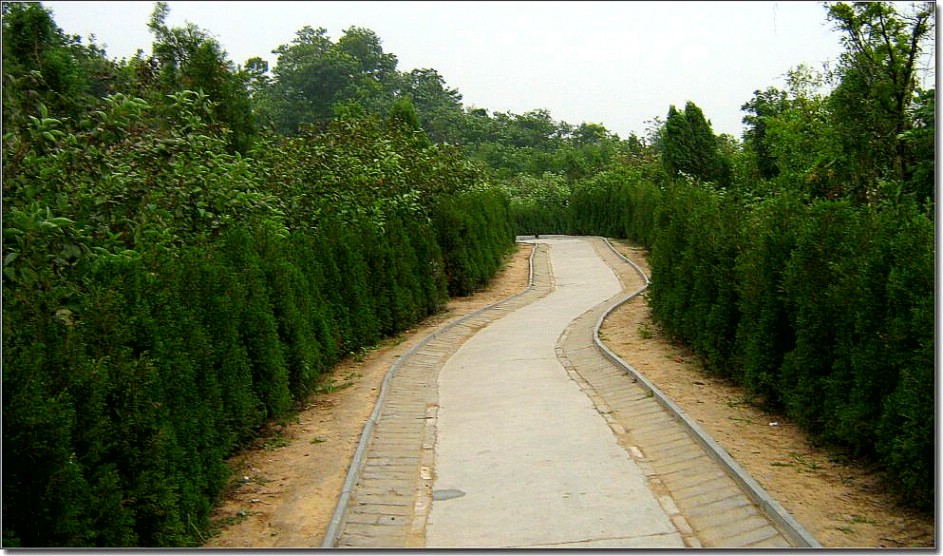 毛毛雨中的大伾山景色