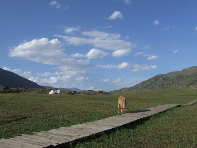 美丽纳拉提草原