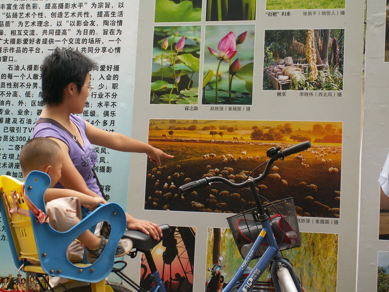 俱乐部展版颇受关注