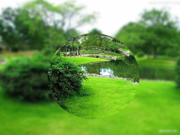 学作水晶球