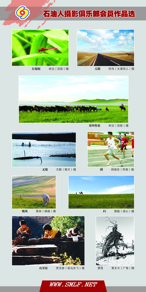 8.19会议专做会员作品选展板