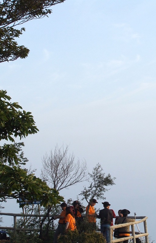 关山花絮