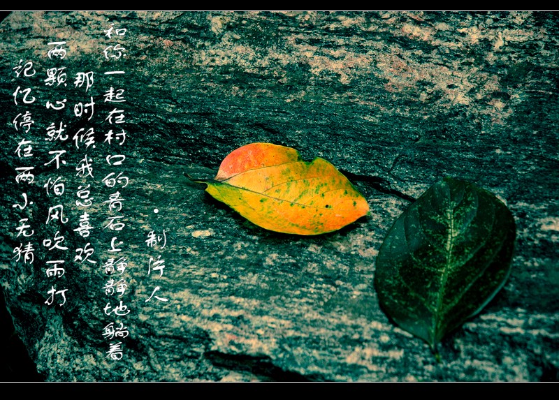 【原创】 “记忆中的爱”  ！（学拍人像）