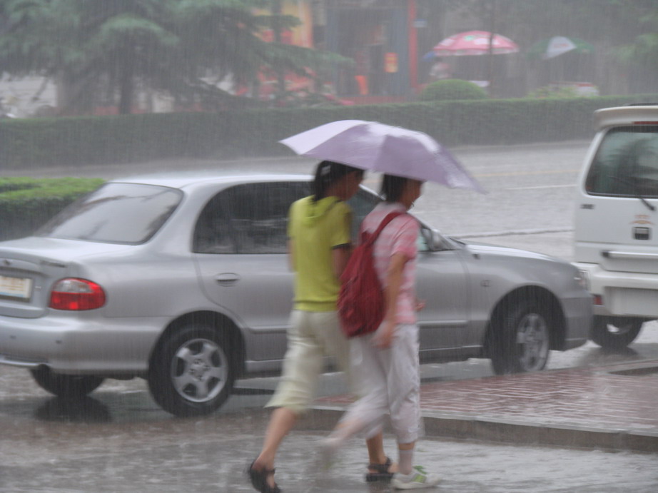 雨中即景
