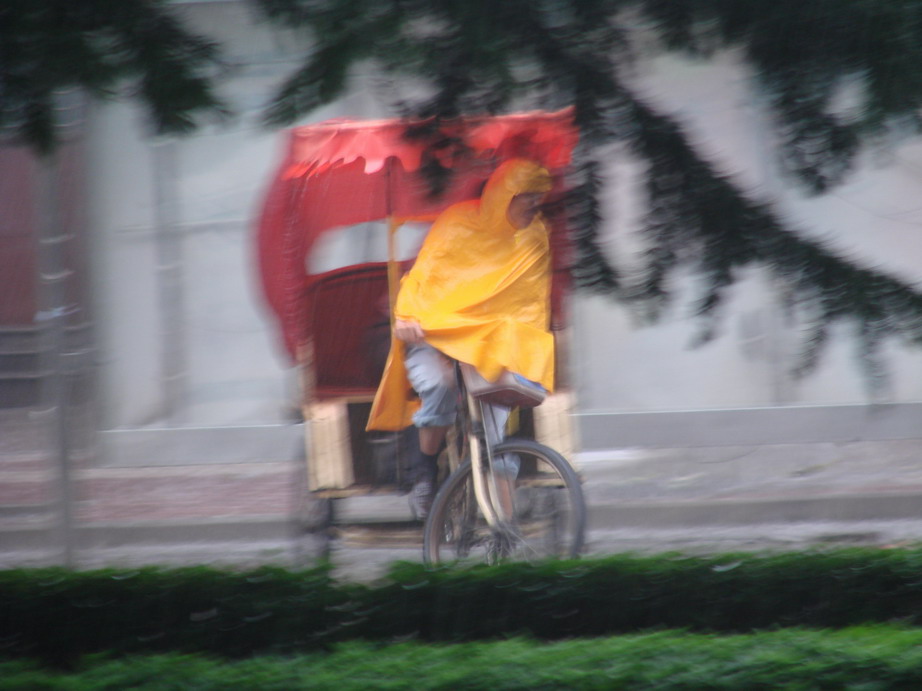 雨中即景