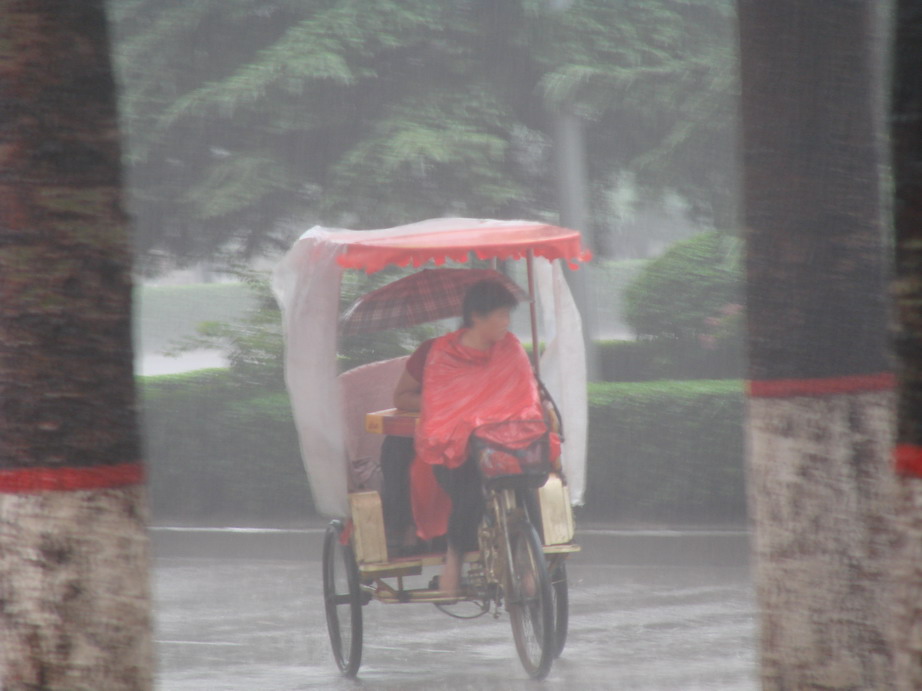 雨中即景