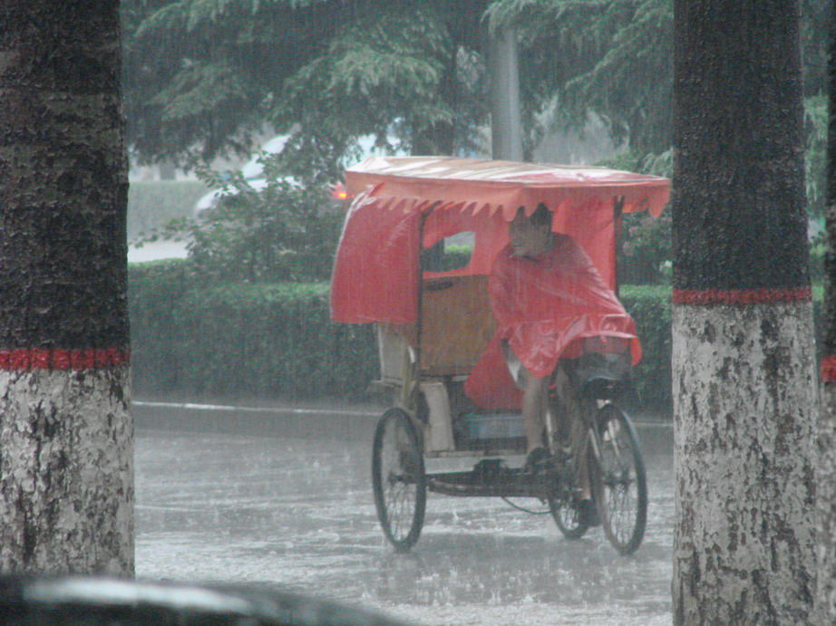 雨中即景