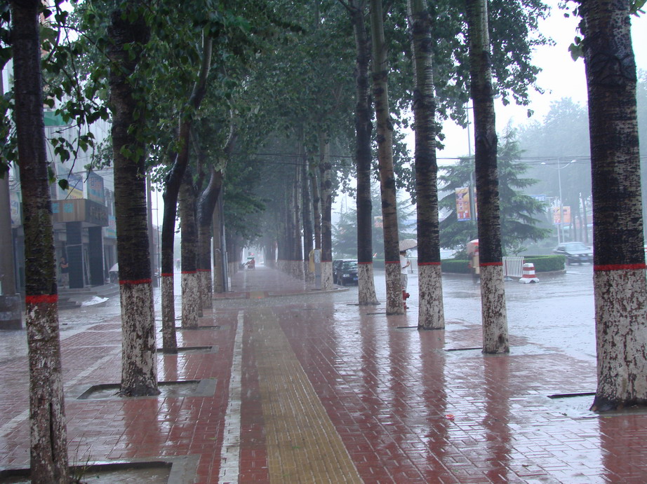 雨中即景