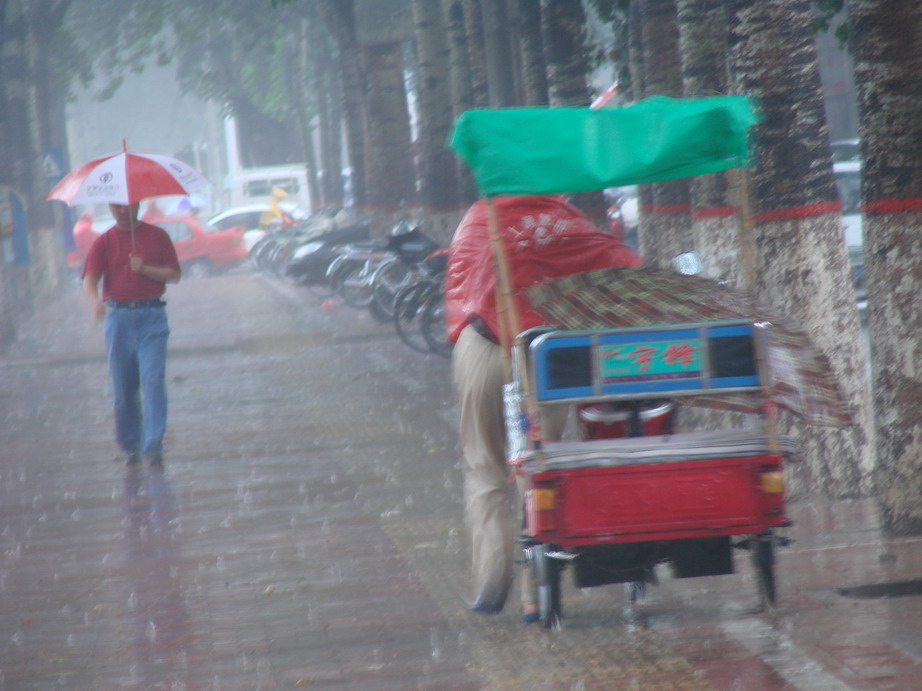 雨中即景