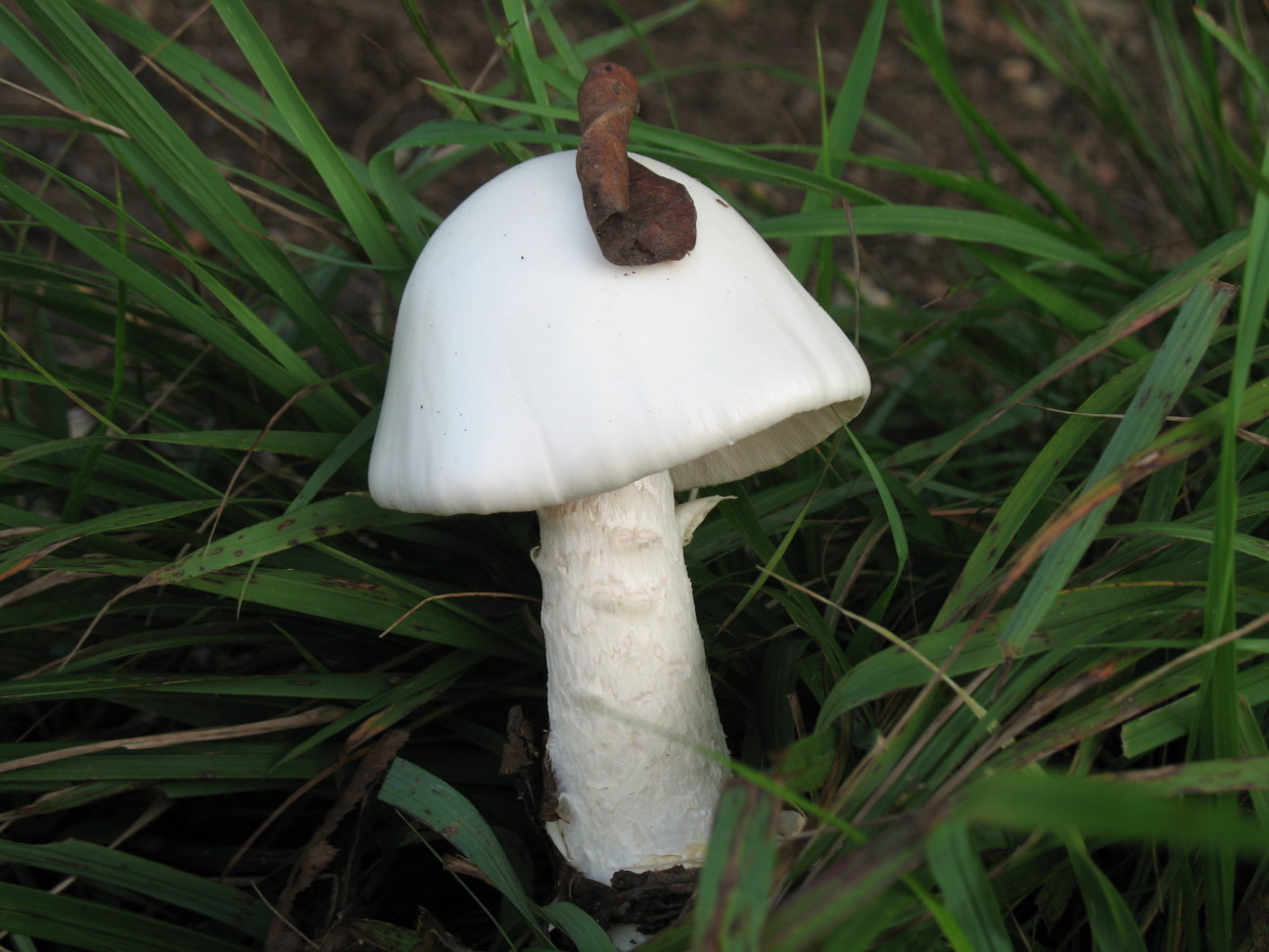 欣赏关山6