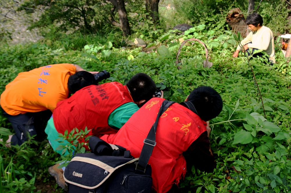 龙图腾发一组关山采风花絮