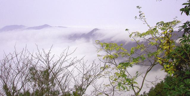 云海