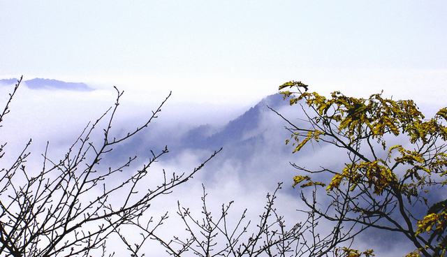 云海