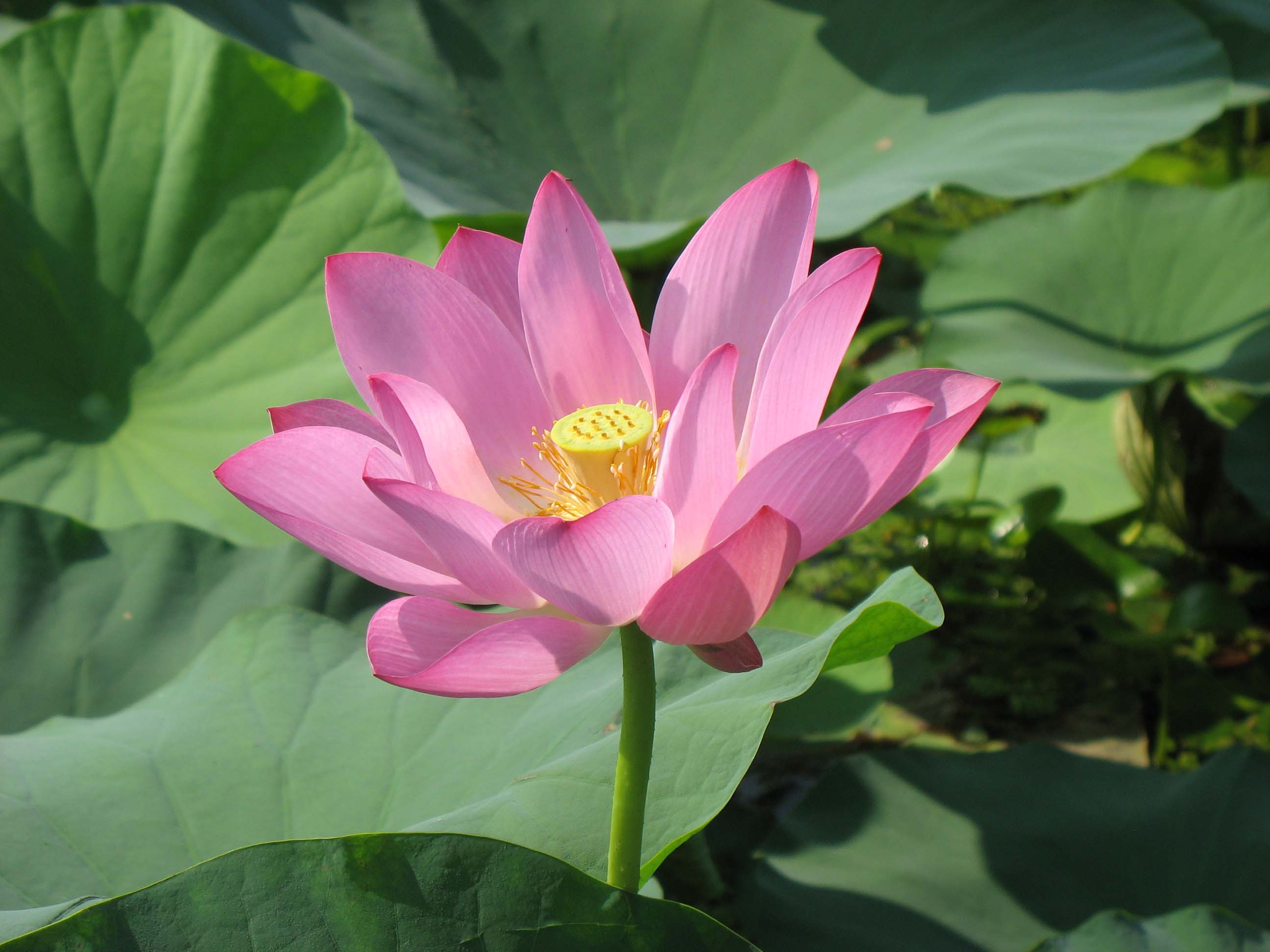 生与死