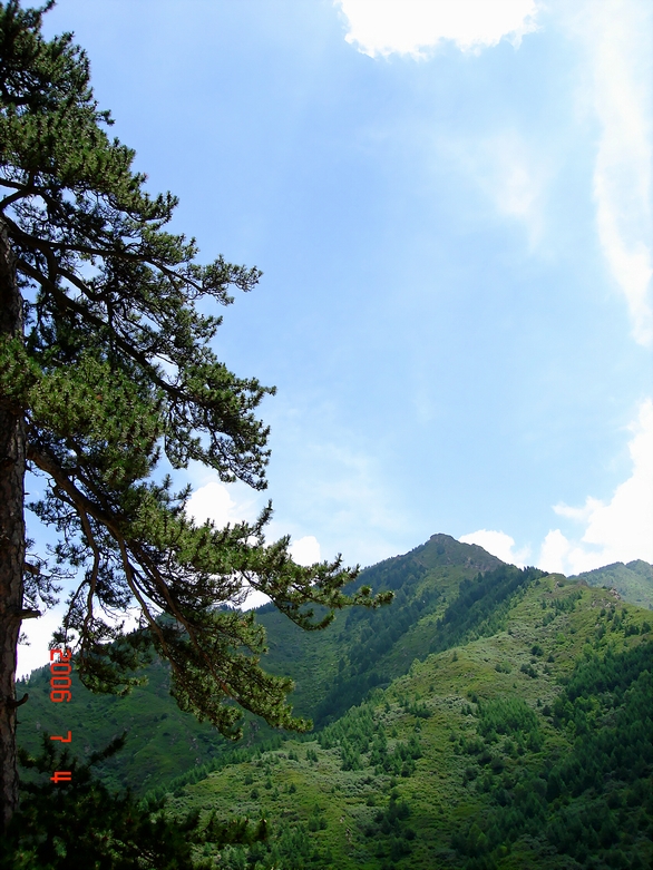 岁月雄姿
