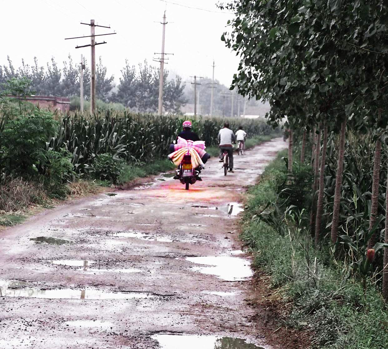 乡村小路