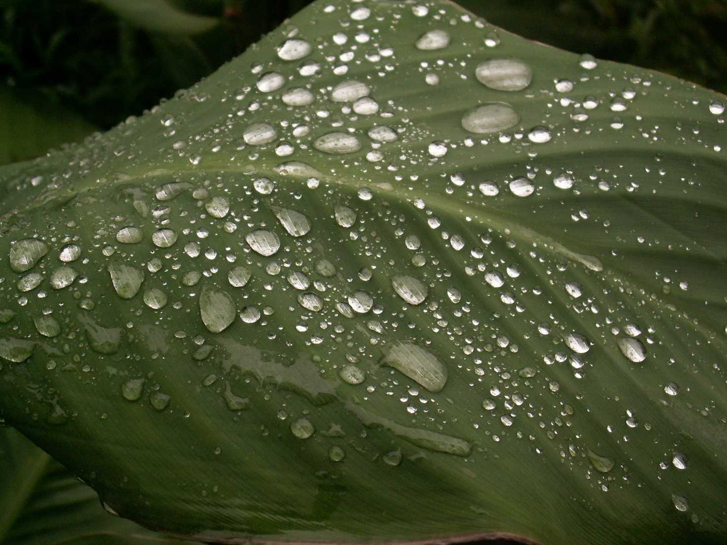 雨后