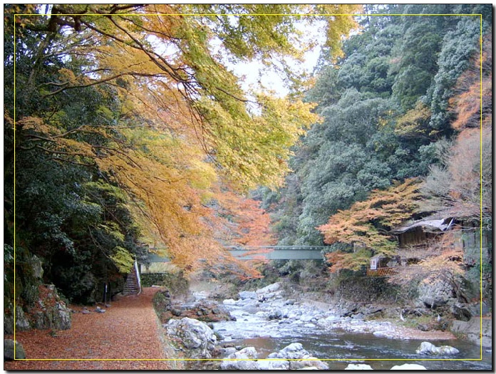 [原创]风景这边独好2