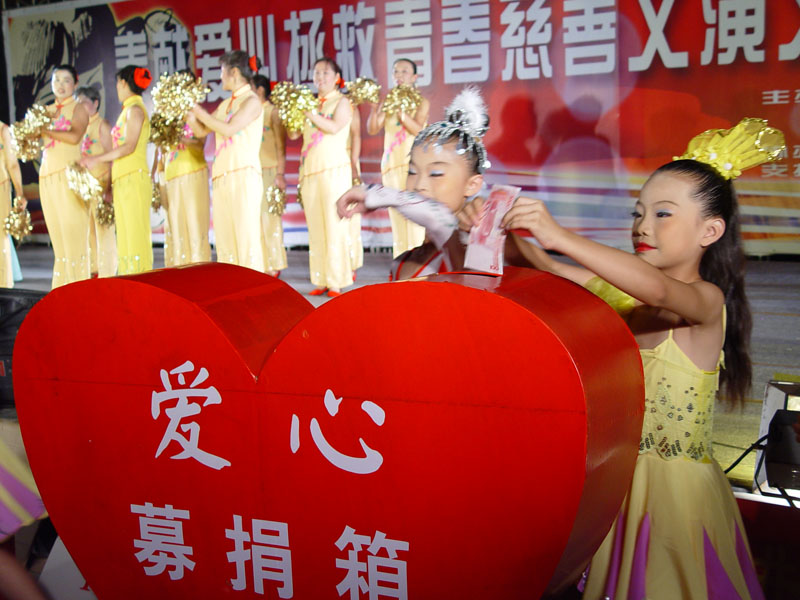 救助杨岚慈善义演晚会
