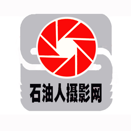会标设计方案－投票帖