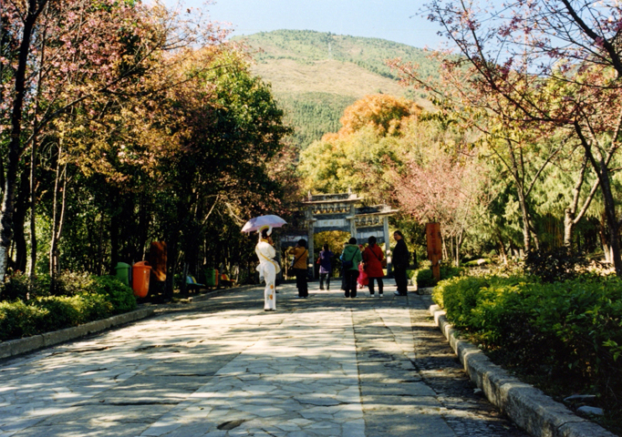 走马观花云贵行
