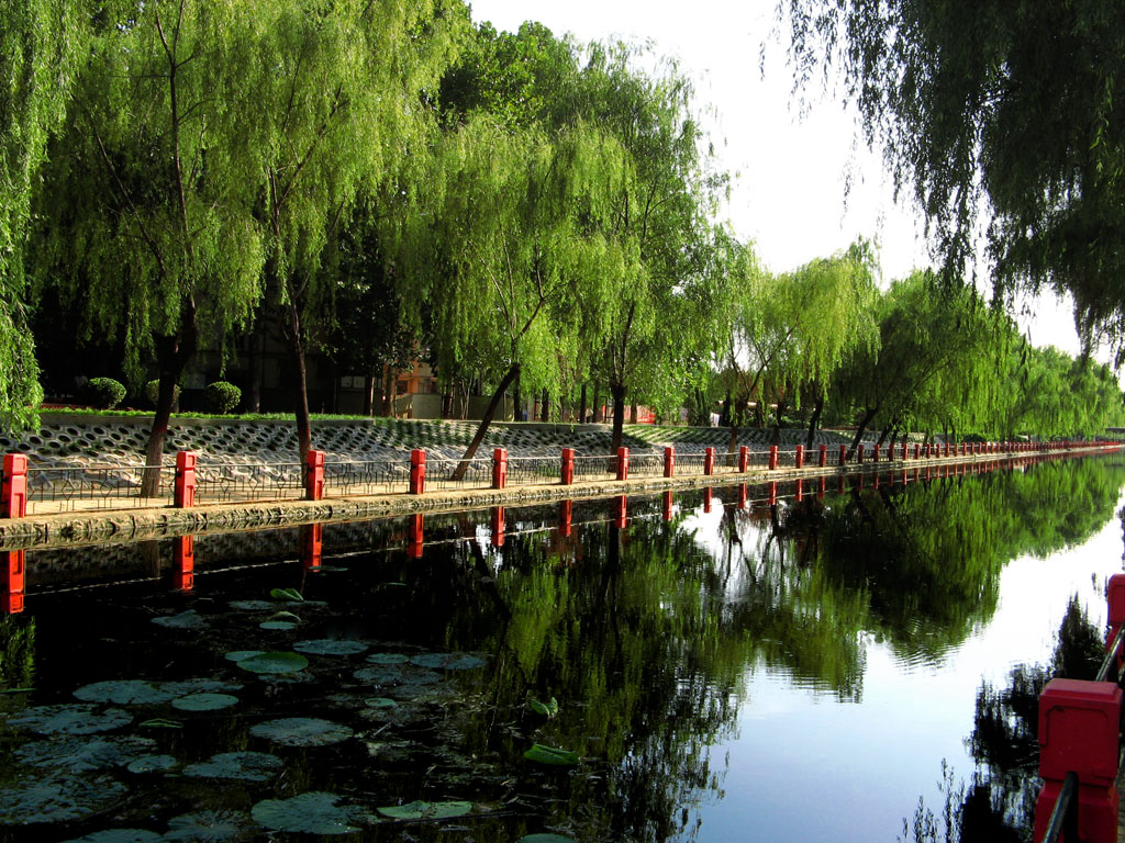 油区小风景