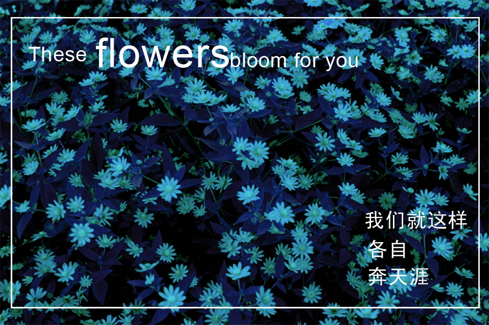 就这样，我们各自奔天涯