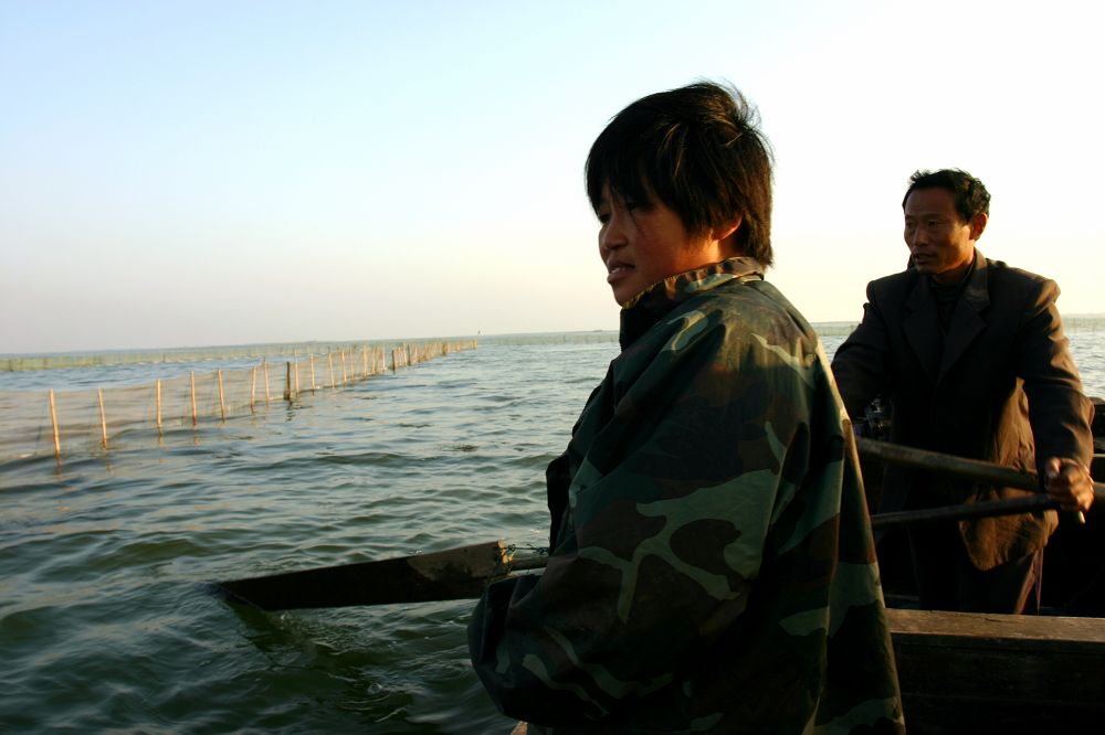 东平湖渔民打渔目击记