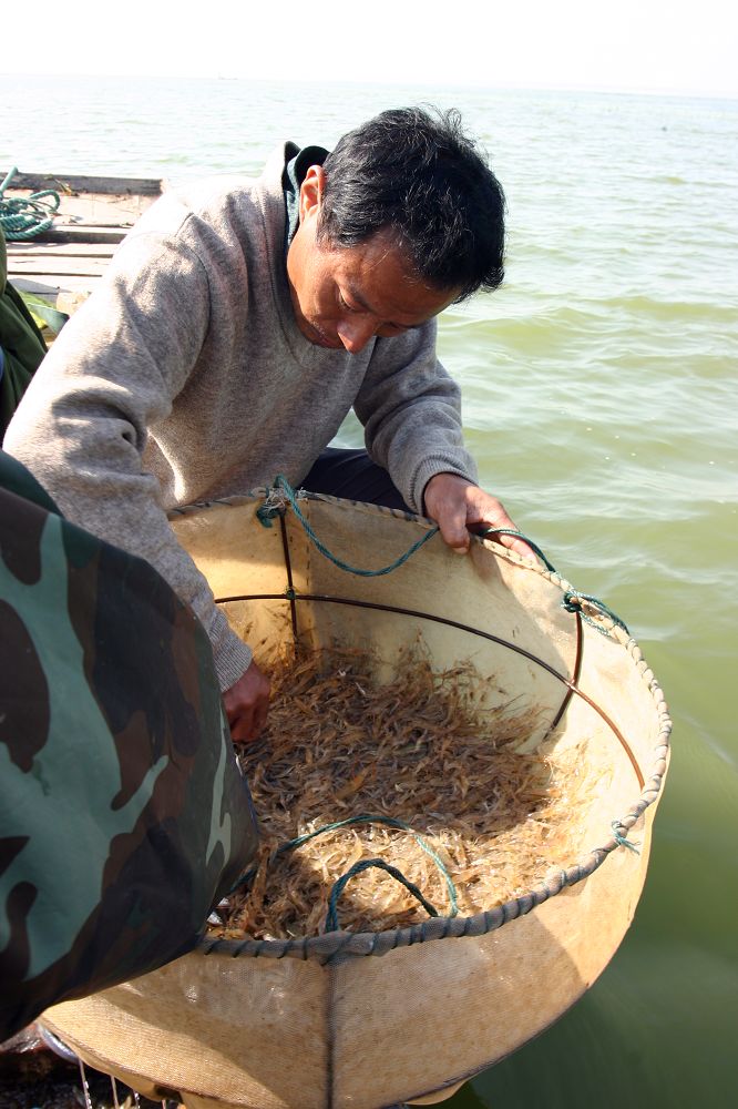 东平湖渔民打渔目击记
