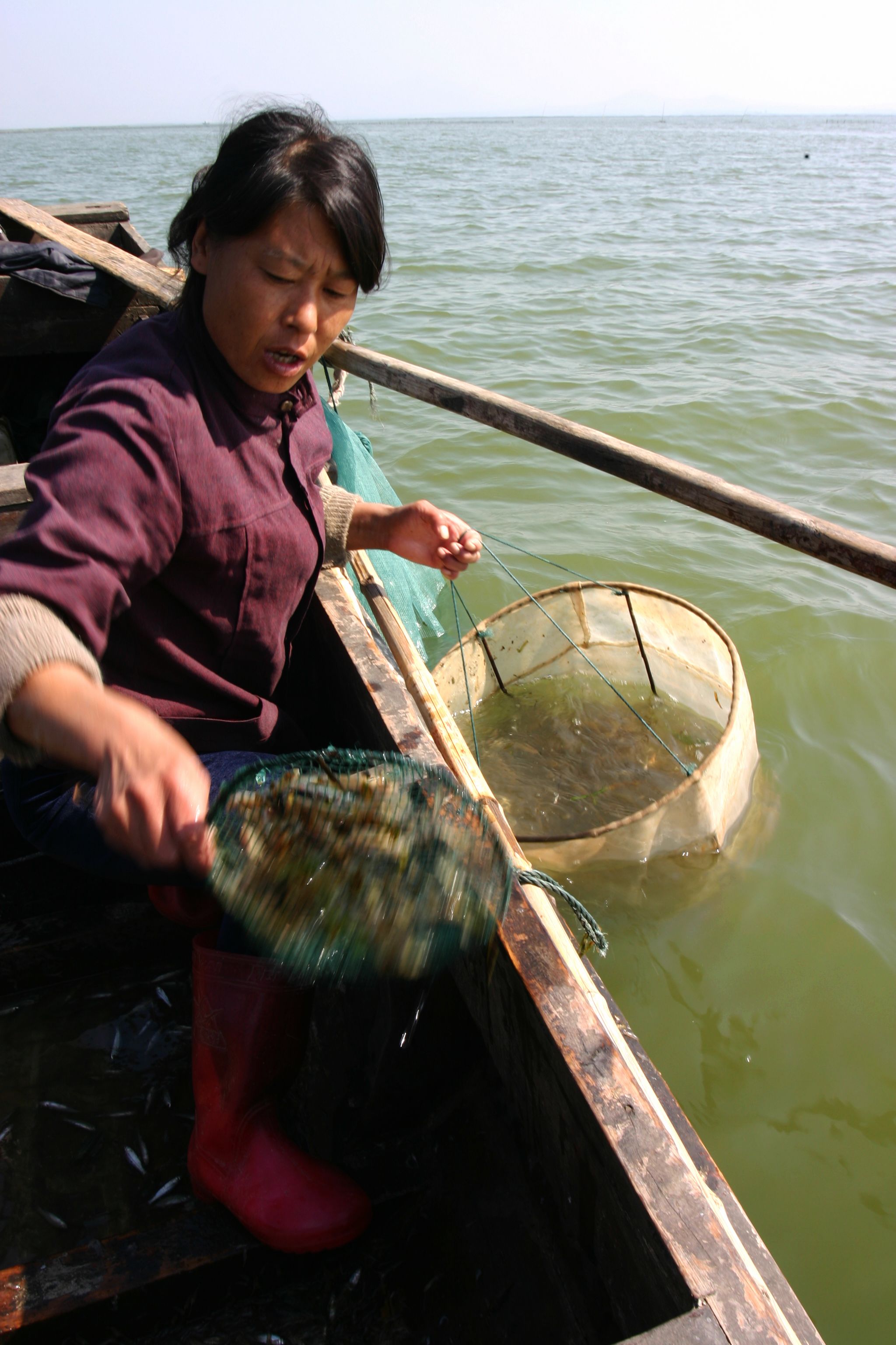 东平湖渔民打渔目击记