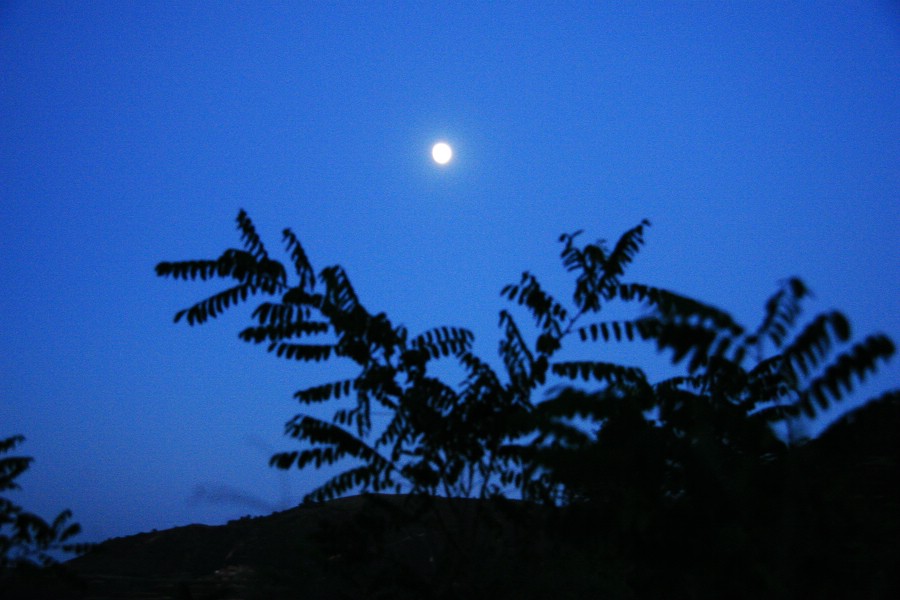 夜
