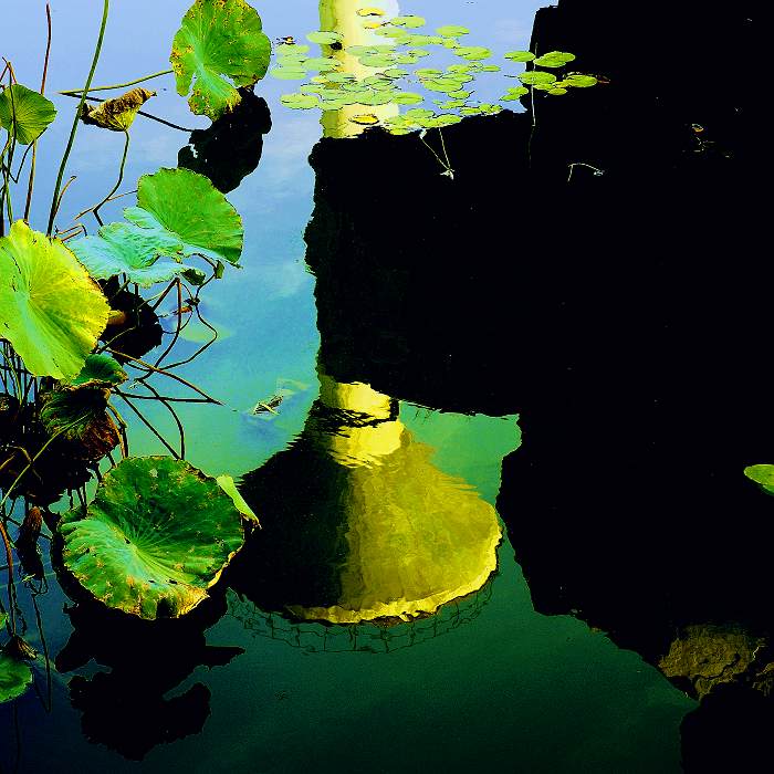 [原创]水中秋影