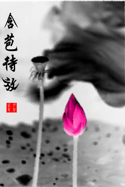 学习制作水墨荷花图