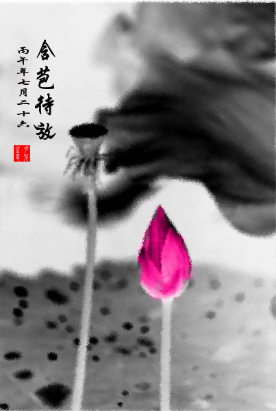 学习制作水墨荷花图