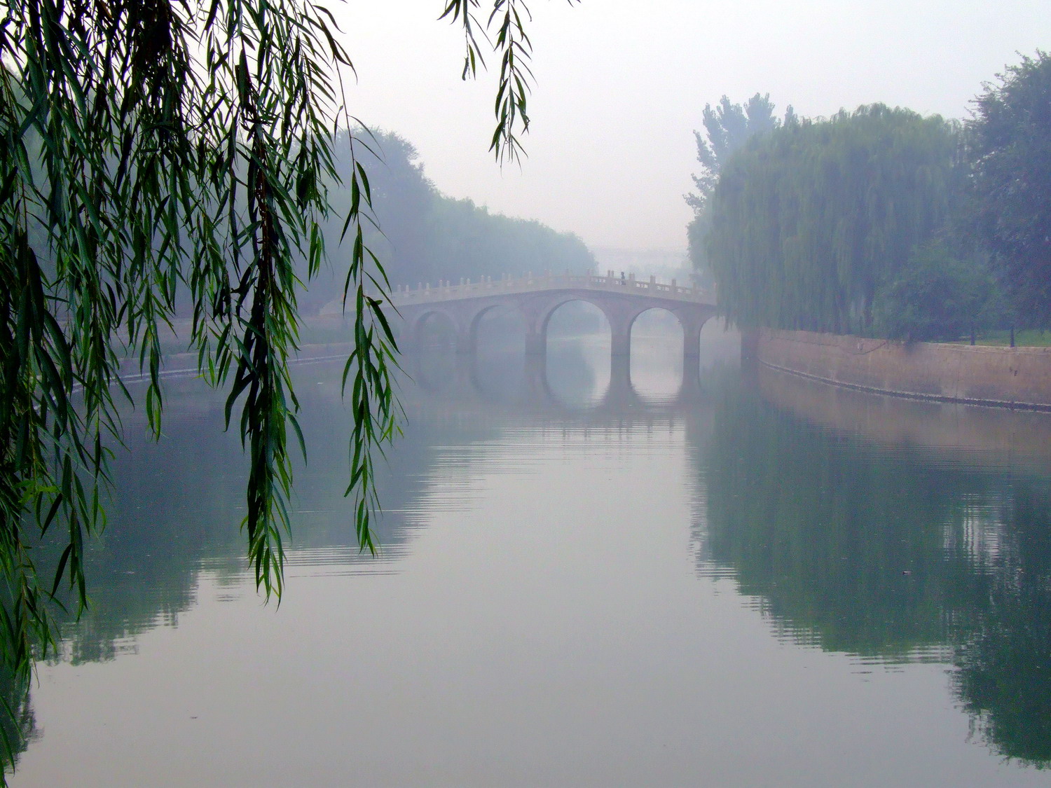 晨雾中的新蕾公园