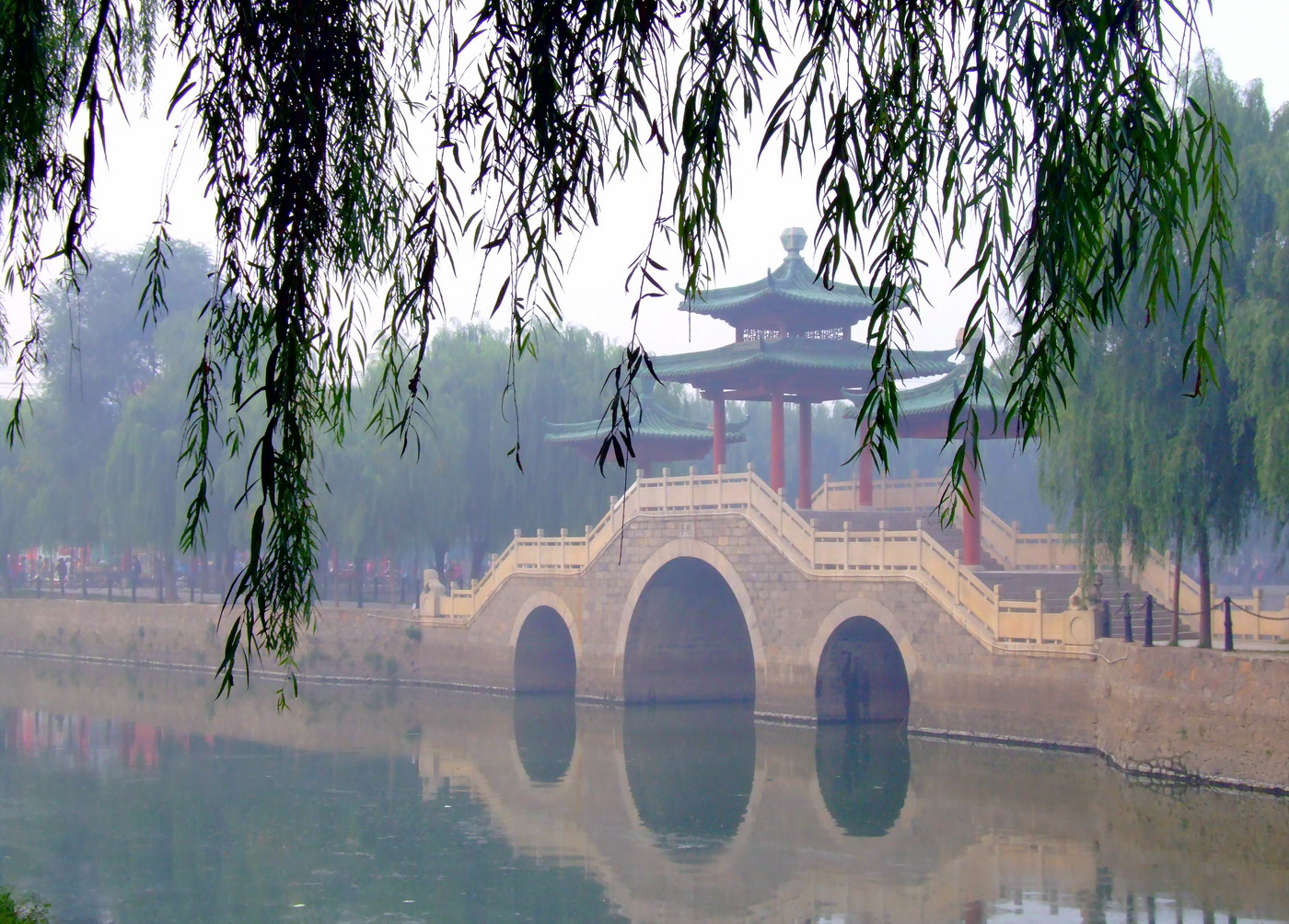 晨雾中的新蕾公园