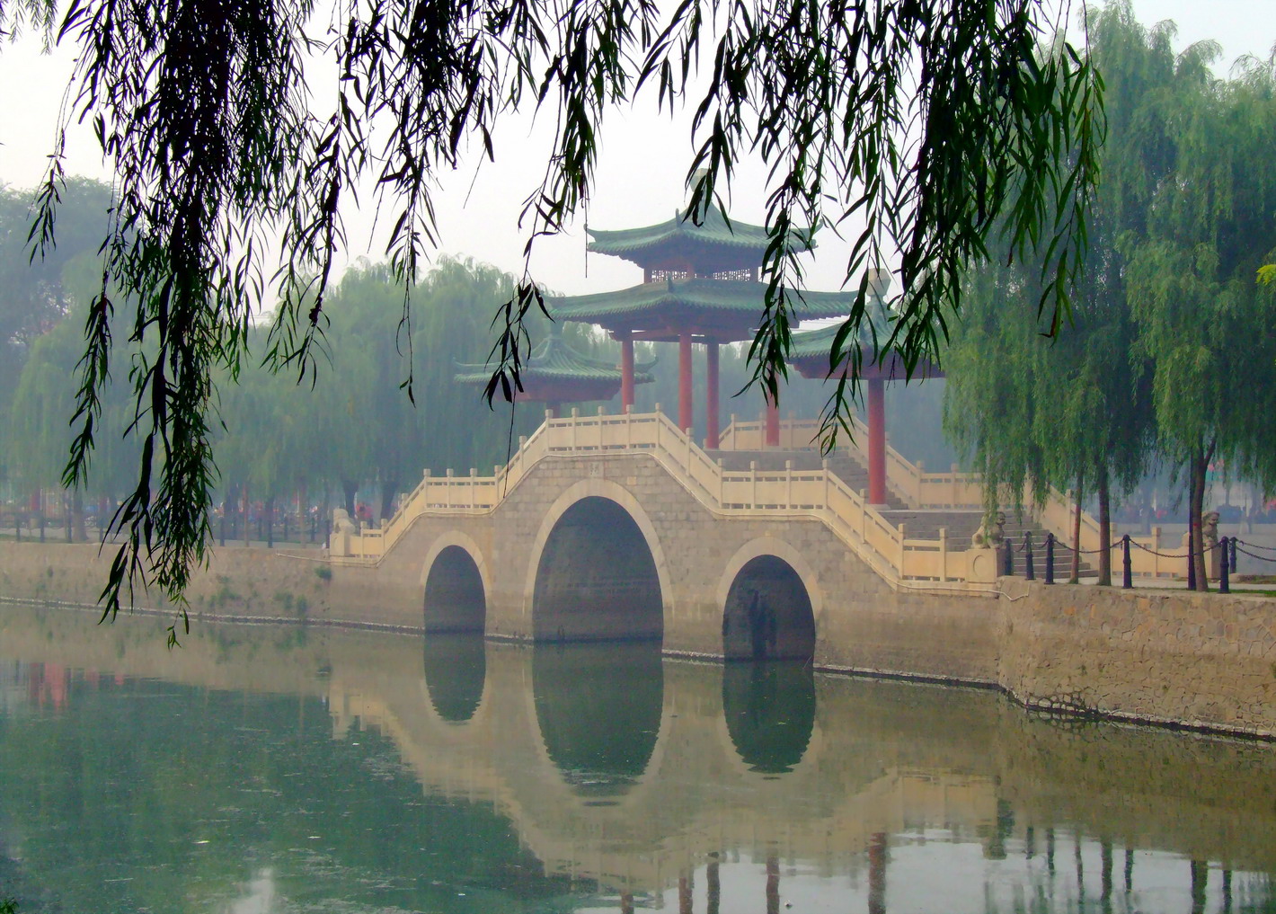 晨雾中的新蕾公园