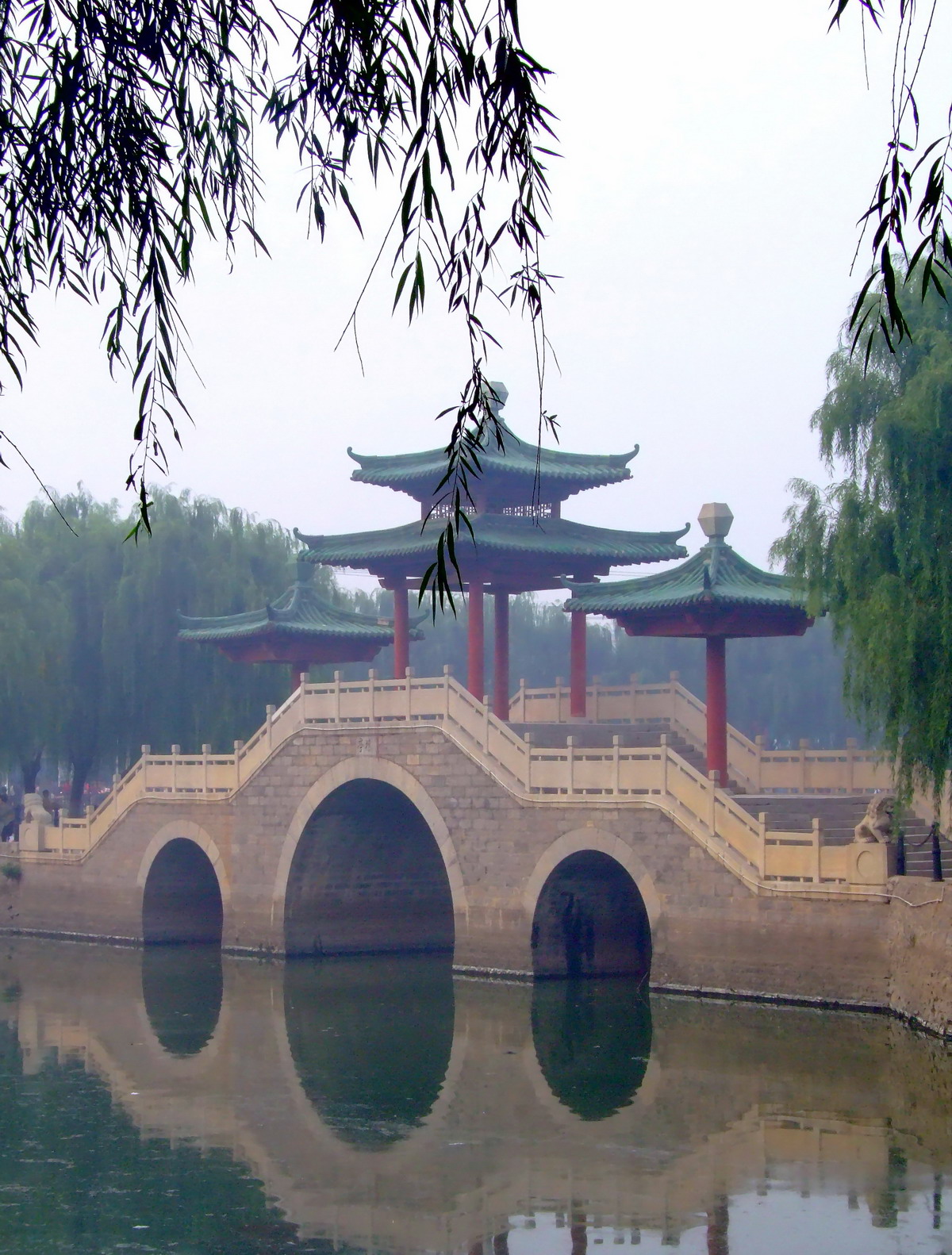 晨雾中的新蕾公园