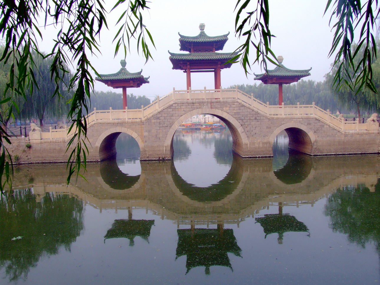 晨雾中的新蕾公园